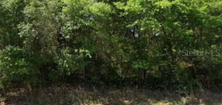 21540 MARINE BOULEVARD, Dunnellon, FL 34431