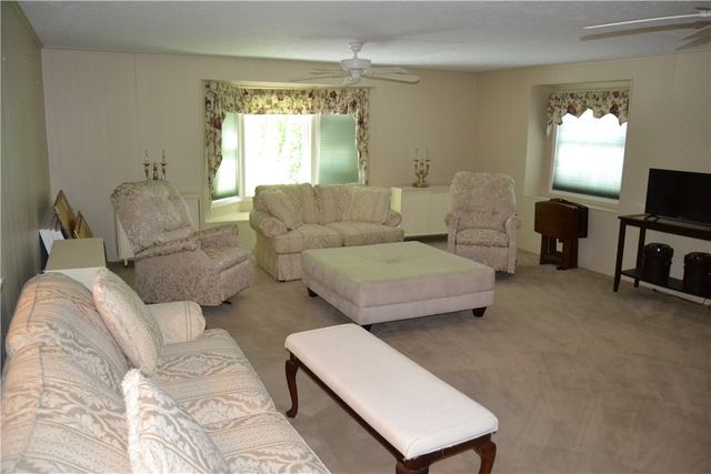 19 Snowy Owl, Greece, NY 14612