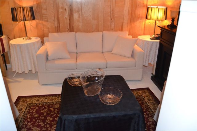 19 Snowy Owl, Greece, NY 14612