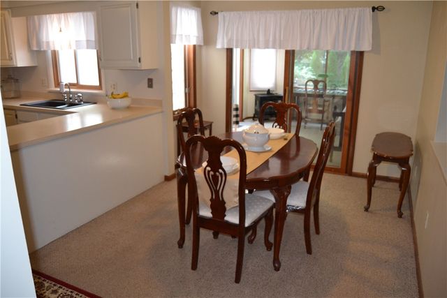 19 Snowy Owl, Greece, NY 14612