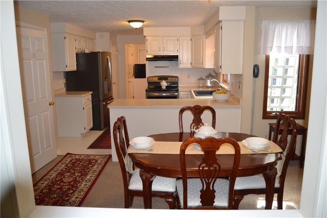 19 Snowy Owl, Greece, NY 14612