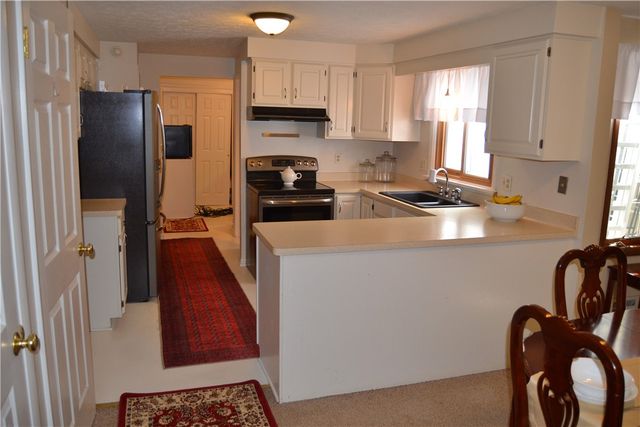 19 Snowy Owl, Greece, NY 14612