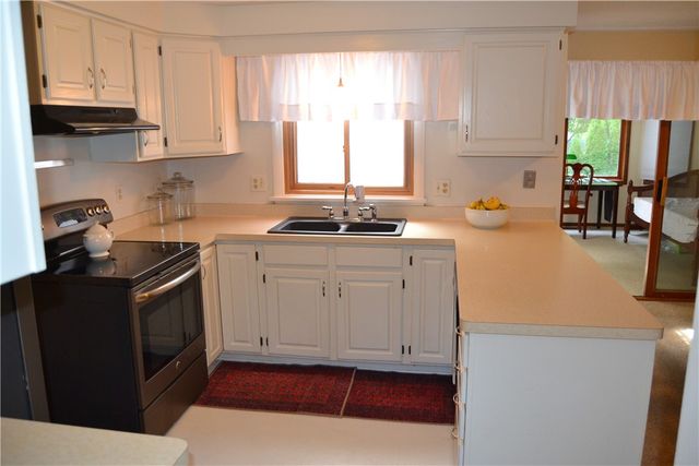 19 Snowy Owl, Greece, NY 14612