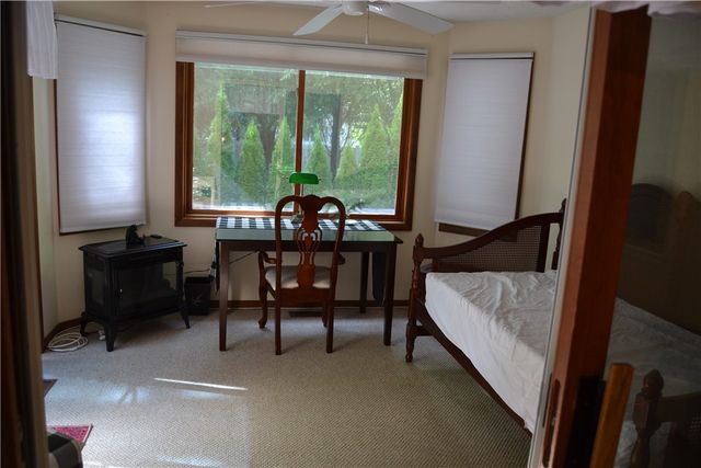 19 Snowy Owl, Greece, NY 14612