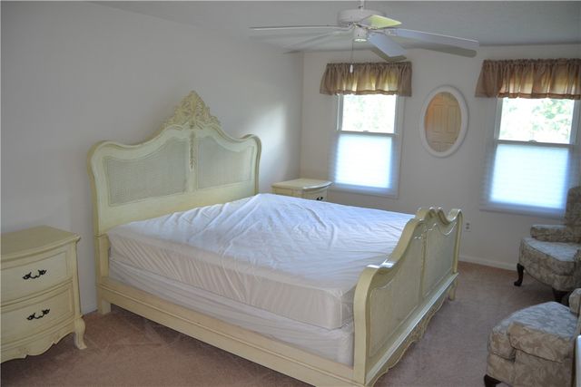 19 Snowy Owl, Greece, NY 14612