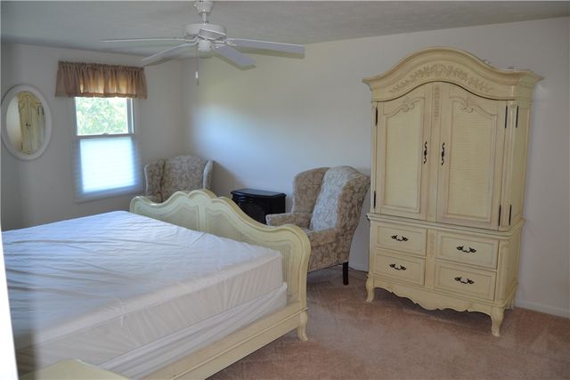 19 Snowy Owl, Greece, NY 14612