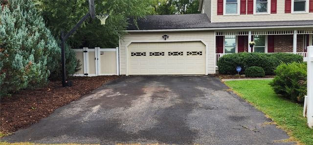 19 Snowy Owl, Greece, NY 14612