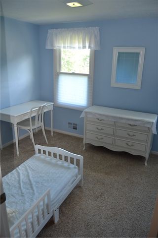 19 Snowy Owl, Greece, NY 14612