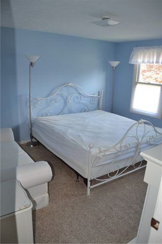 19 Snowy Owl, Greece, NY 14612