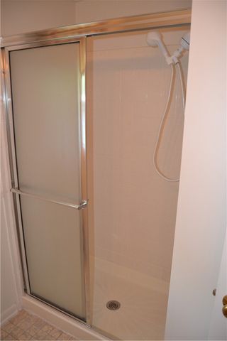 19 Snowy Owl, Greece, NY 14612