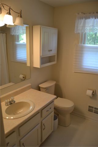19 Snowy Owl, Greece, NY 14612