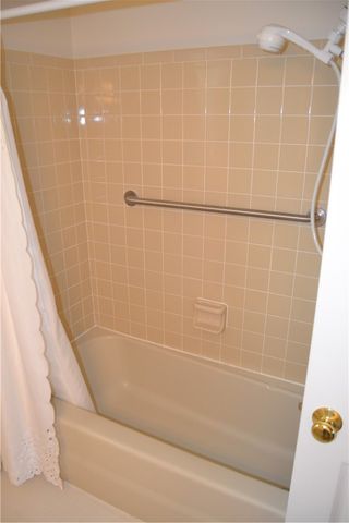 19 Snowy Owl, Greece, NY 14612