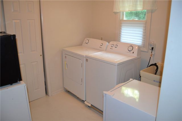 19 Snowy Owl, Greece, NY 14612