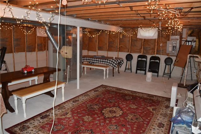 19 Snowy Owl, Greece, NY 14612