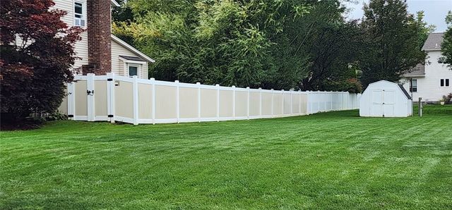 19 Snowy Owl, Greece, NY 14612