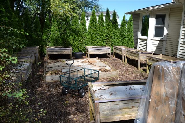 19 Snowy Owl, Greece, NY 14612
