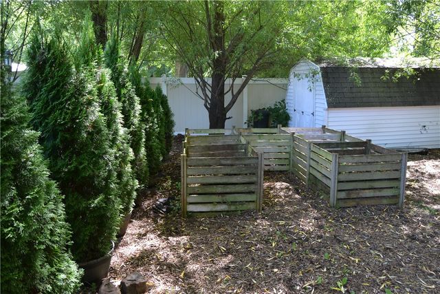 19 Snowy Owl, Greece, NY 14612