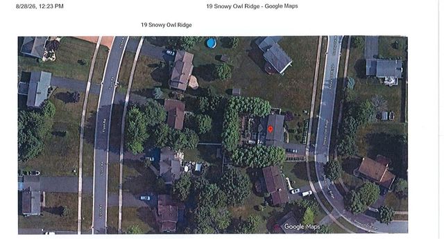 19 Snowy Owl, Greece, NY 14612