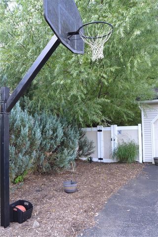 19 Snowy Owl, Greece, NY 14612