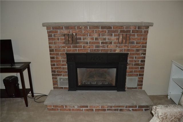 19 Snowy Owl, Greece, NY 14612