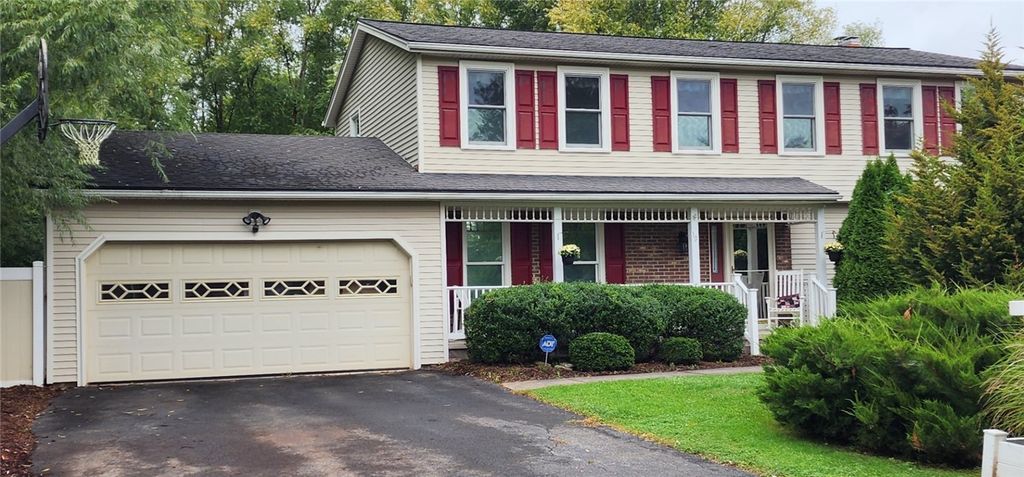 19 Snowy Owl, Greece, NY 14612