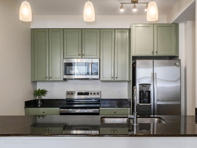 1335 S Prairie Avenue 2009, Chicago, IL 60605