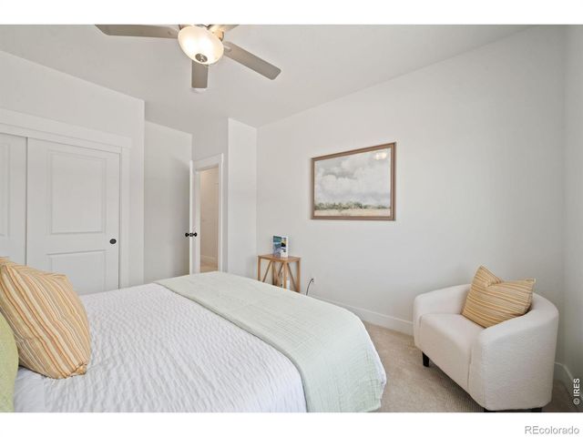 6242 Vernazza Way, Windsor, CO 80550