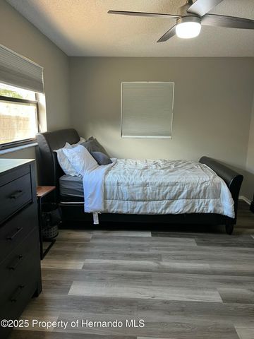 2441 Dustin Circle, Spring Hill, FL 34608