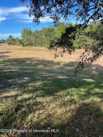 2441 Dustin Circle, Spring Hill, FL 34608