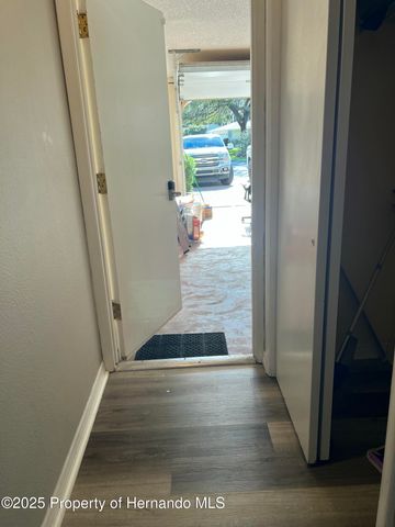 2441 Dustin Circle, Spring Hill, FL 34608