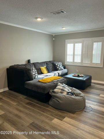 2441 Dustin Circle, Spring Hill, FL 34608