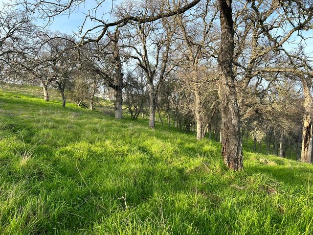 6651 Gallagher Rd, Pilot Hill, CA 95664