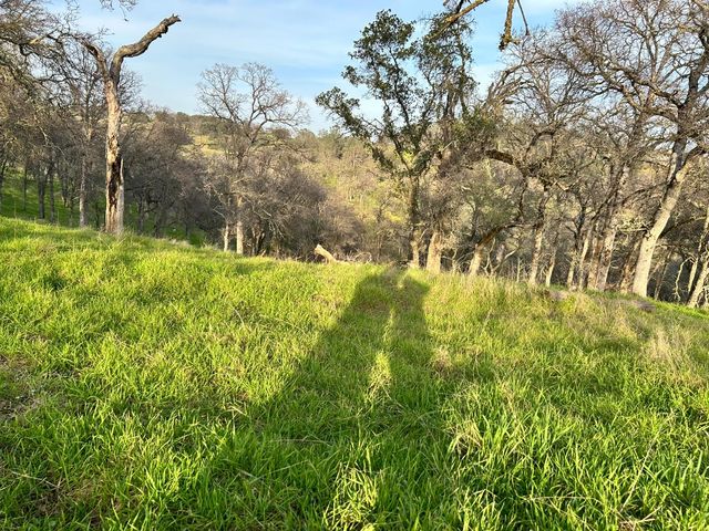 6651 Gallagher Rd, Pilot Hill, CA 95664