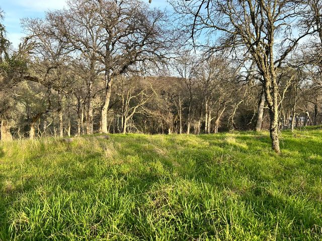 6651 Gallagher Rd, Pilot Hill, CA 95664