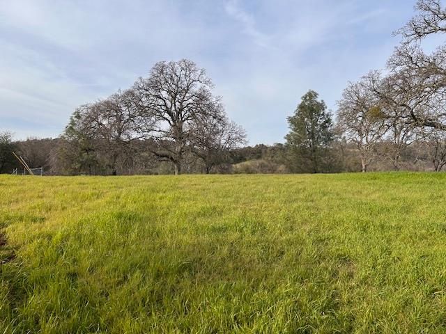 6651 Gallagher Rd, Pilot Hill, CA 95664