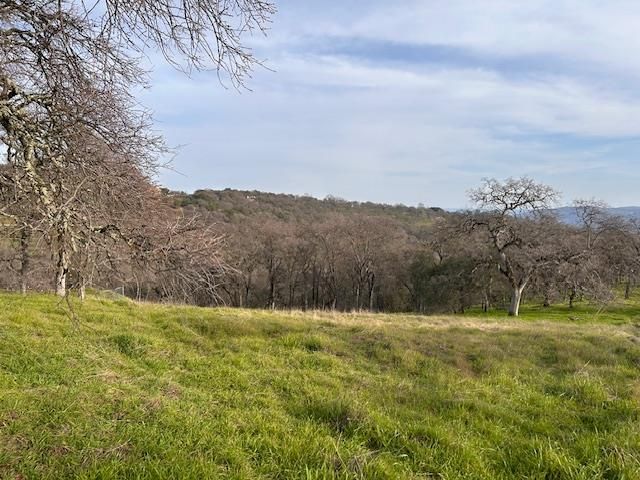 6651 Gallagher Rd, Pilot Hill, CA 95664