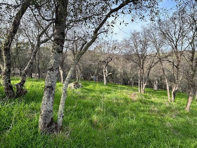 6651 Gallagher Rd, Pilot Hill, CA 95664