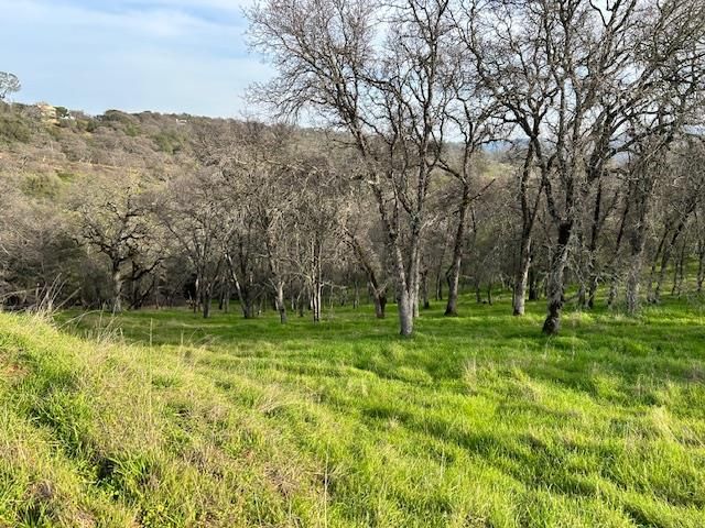 6651 Gallagher Rd, Pilot Hill, CA 95664