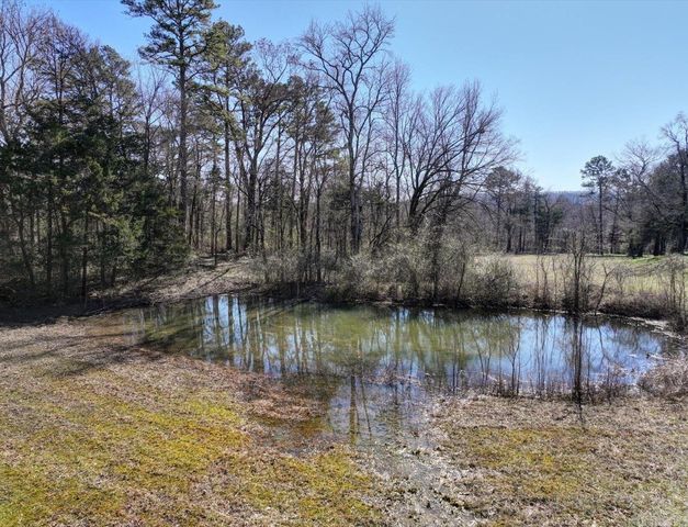 249 & 250 River Drive, Oden, AR 71961