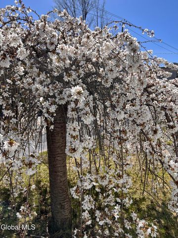 29 Ralph Street, Ballston Spa, NY 12020