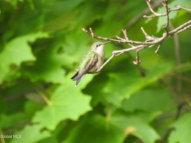 29 Ralph Street, Ballston Spa, NY 12020