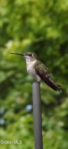 29 Ralph Street, Ballston Spa, NY 12020