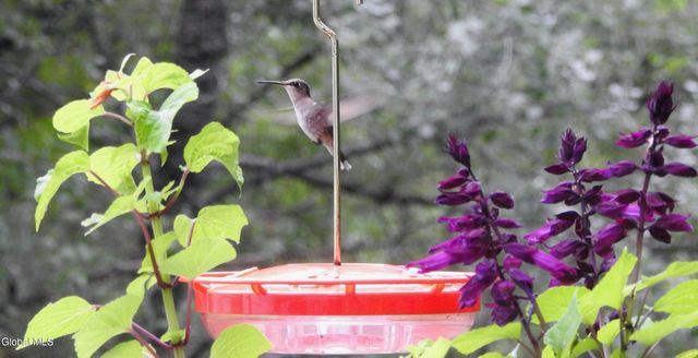 29 Ralph Street, Ballston Spa, NY 12020