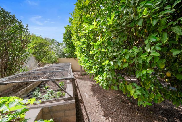 8131 E APPALOOSA Trail, Scottsdale, AZ 85258
