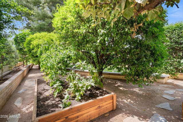 8131 E APPALOOSA Trail, Scottsdale, AZ 85258