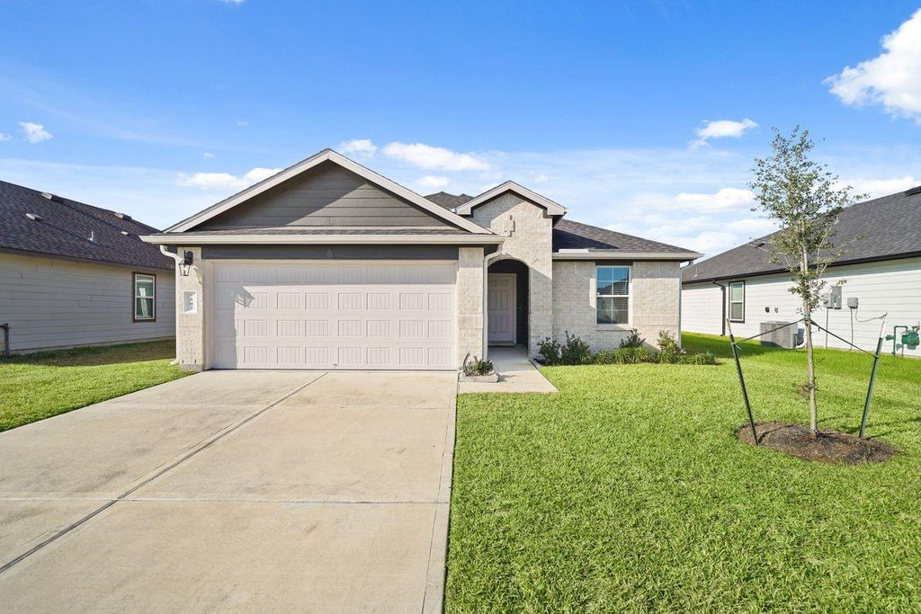 7502 Fierce Friesian Lane, Rosharon, TX 77583
