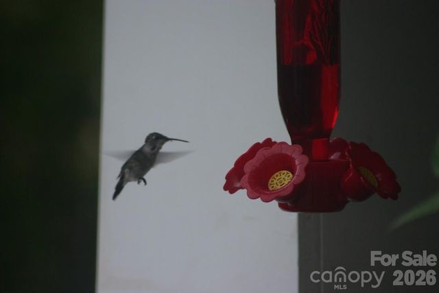 16464 Redstone Mountain Lane, Charlotte, NC 28277