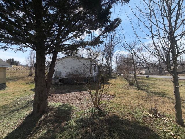 262 Lowe ST, Buchanan, VA 24066