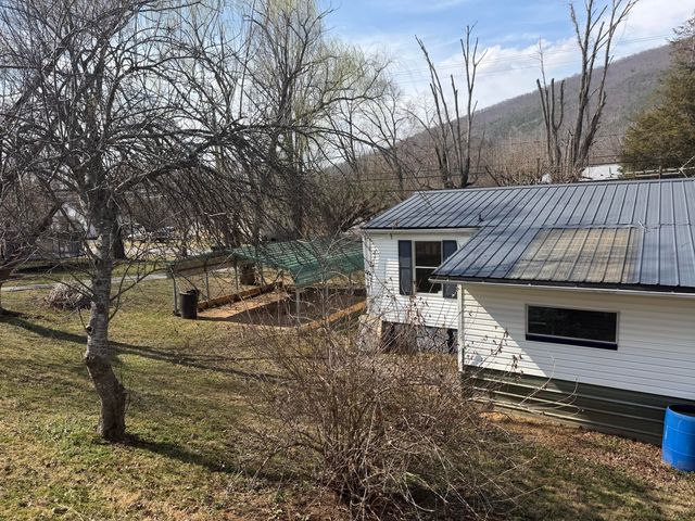 262 Lowe ST, Buchanan, VA 24066