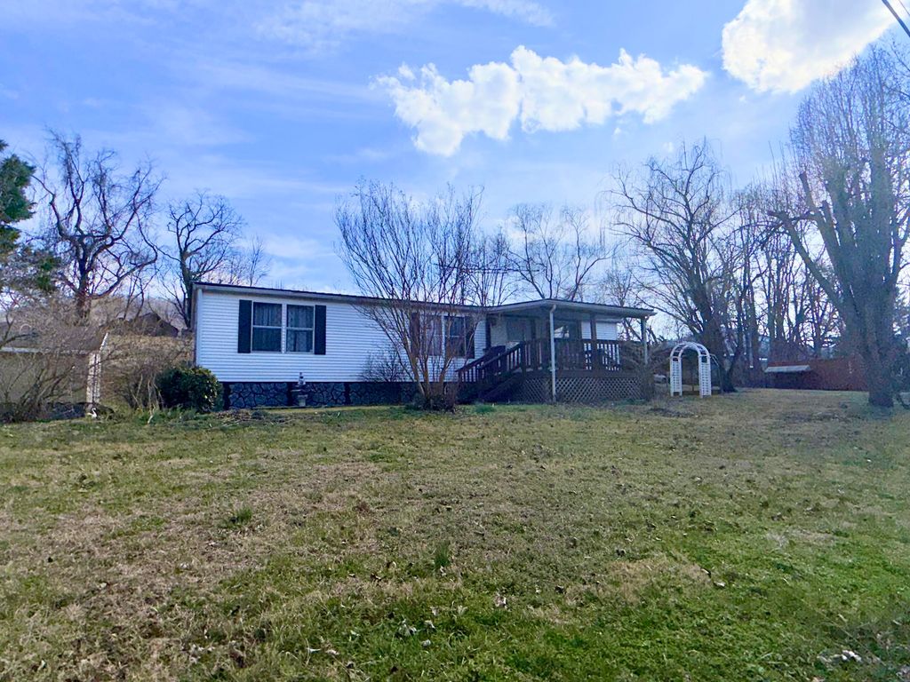262 Lowe ST, Buchanan, VA 24066
